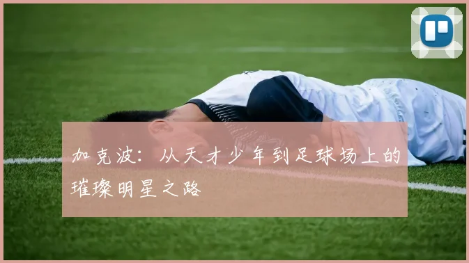加克波：从天才少年到足球场上的璀璨明星之路