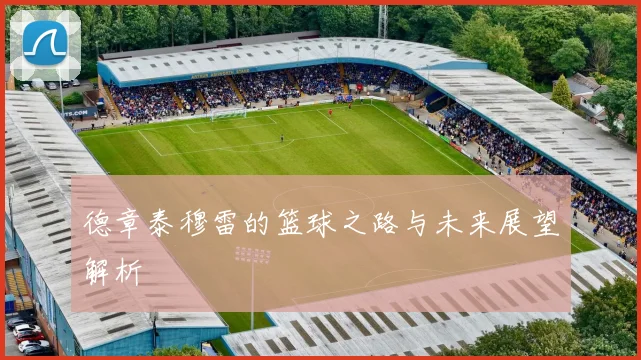德章泰穆雷的篮球之路与未来展望解析