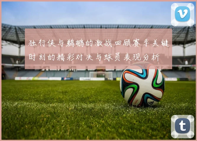独行侠与鹈鹕的激战回顾赛季关键时刻的精彩对决与球员表现分析