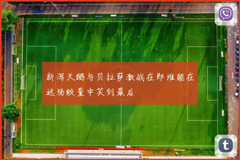 新泻天鹅与贝拉萨激战在即谁能在这场较量中笑到最后